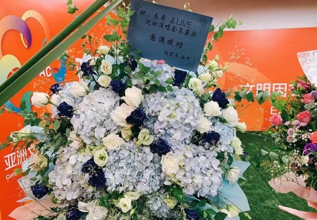 张杰张碧晨天涯爆料,张碧晨张杰谢娜邓紫棋华晨宇