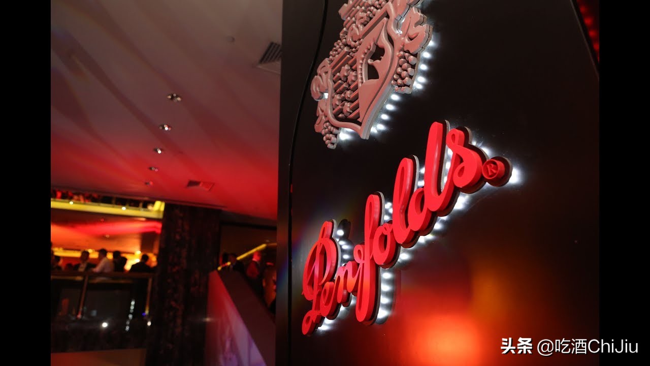 奔富红酒bin和vin的区别,奔富红酒bin系列介绍