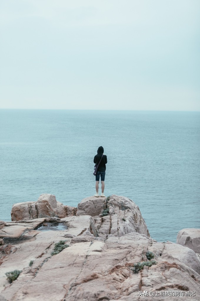 花鸟岛和枸杞岛攻略,海花岛攻略带你玩转海花岛