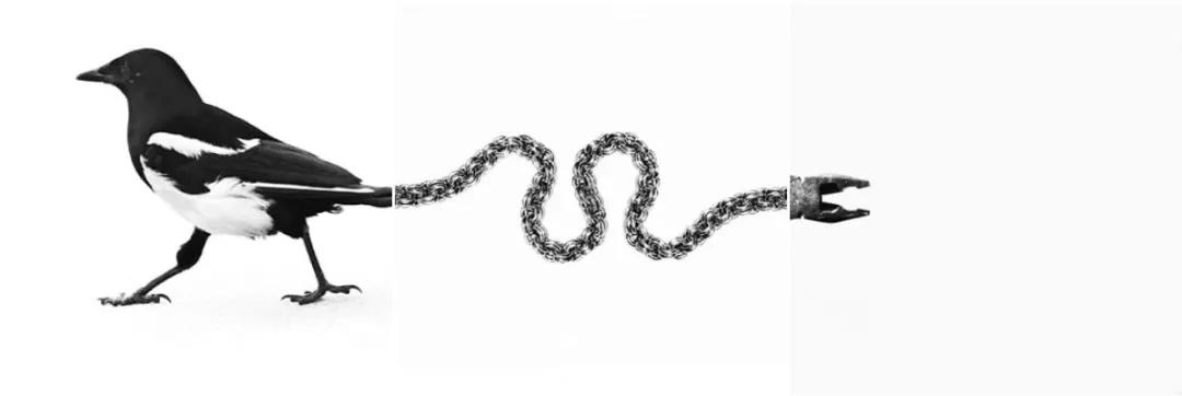 九宫格怎么晒图片,晒一晒九宫格图片