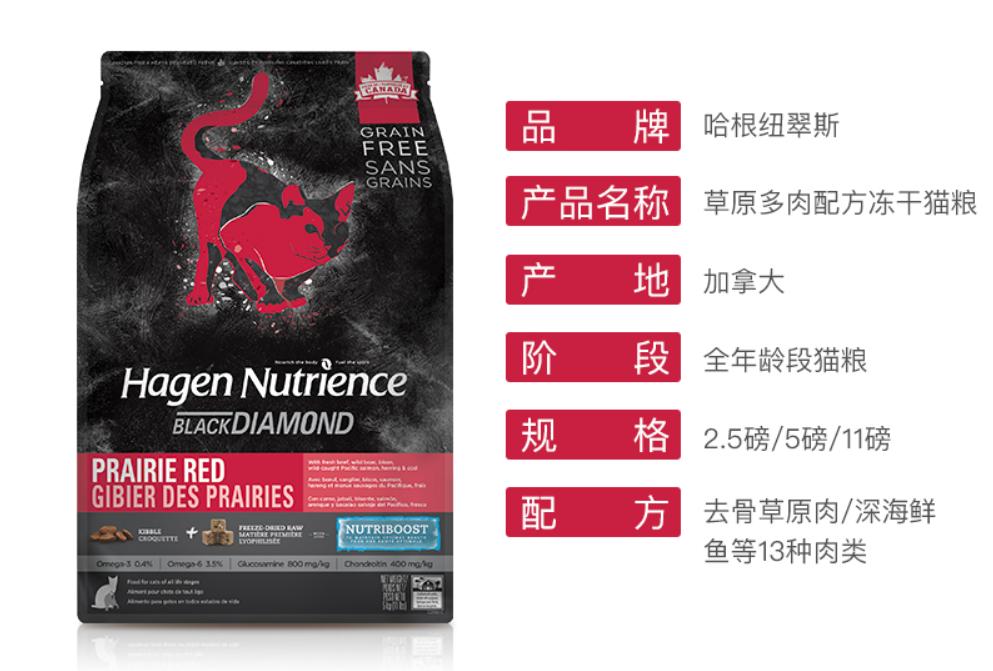 养猫入门猫粮推荐哪种,新手养猫攻略6款高品质猫粮推荐