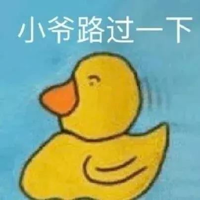 太平鸟登时装周,太平鸟中国国际时装周