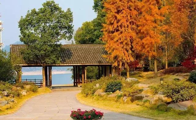 邂逅秋天的千岛湖!光看图已美醉,住这7家美宿避开人群赏湖景山色