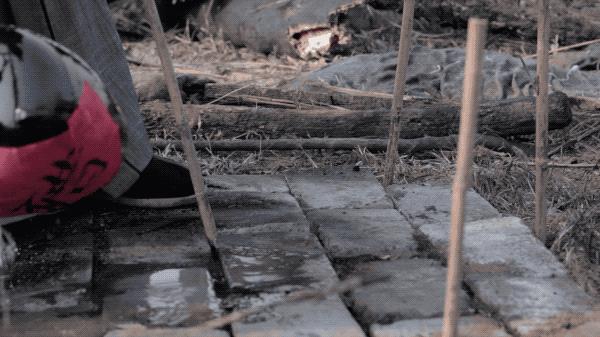 央视重口法医纪录片,网友直呼看不过瘾