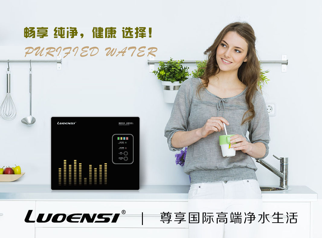 京东洛恩斯净水器是几线品牌,洛恩斯净水器质量排名