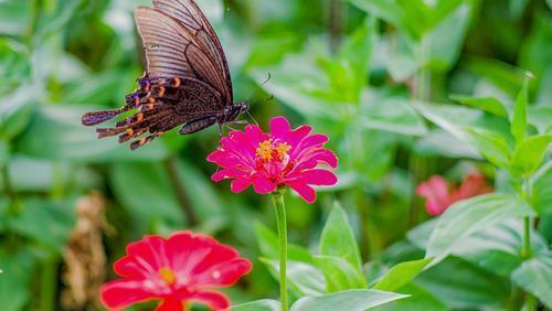 金牛座最受不了冷战的星座,十二星座最佳恋爱总结金牛