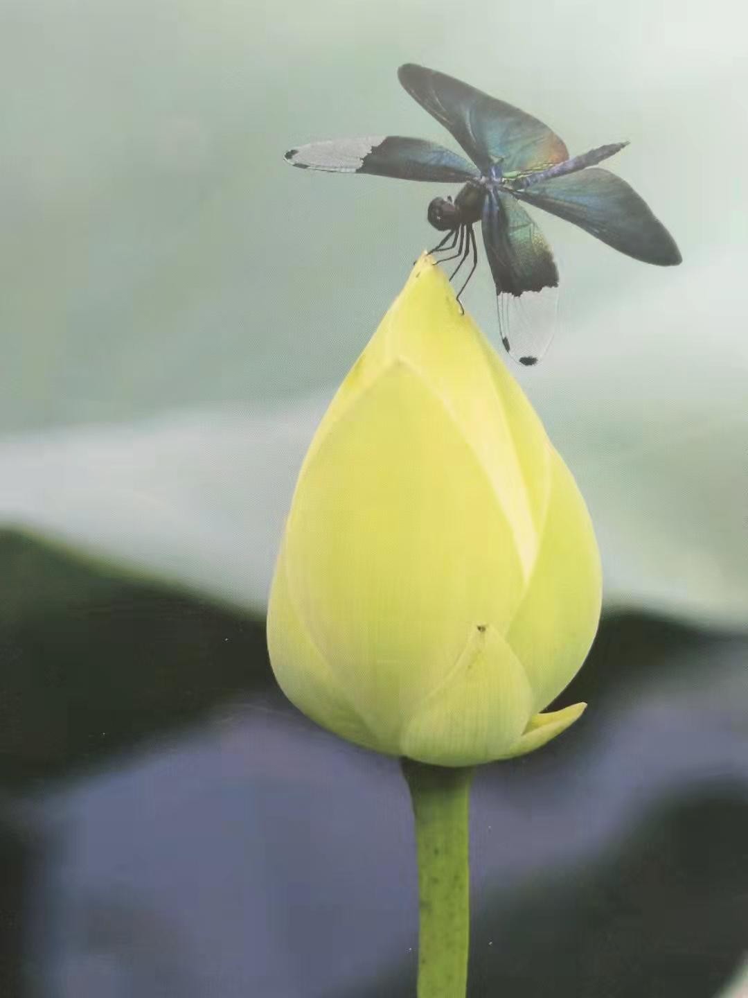 家庭婚姻出现问题怎么办,家庭和婚外情该如何取舍