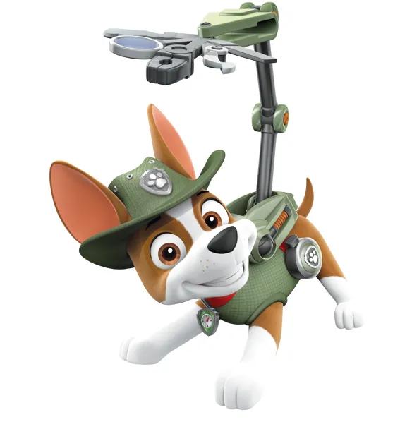 汪汪队阿奇是什么品种的狗狗,汪汪队毛毛是什么品种的狗狗