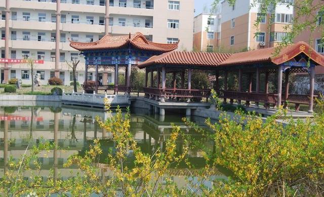 淮北高考全省排名,安徽淮北高中有哪些学校