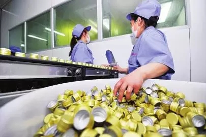 中国保健品教父被曝光,中国保健品教父王石现在怎么样了