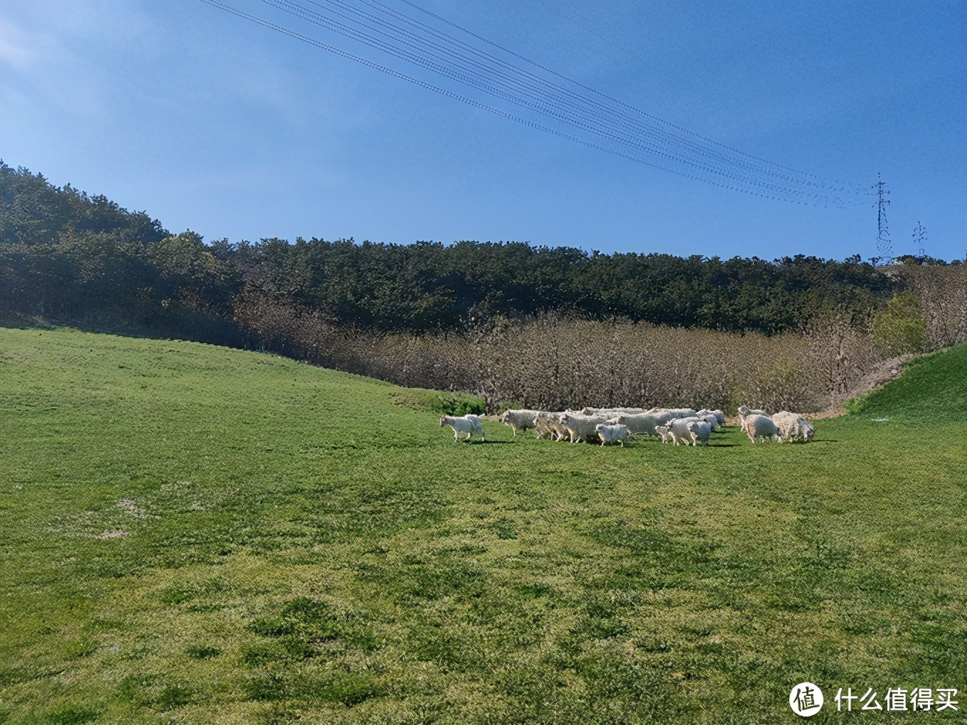 五一大连三寰牧场,大连三寰牧场旅游攻略