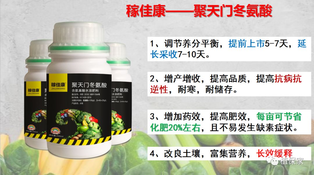 聚谷氨酸肥料的作用与功效,聚谷氨酸肥主要功能与肥效