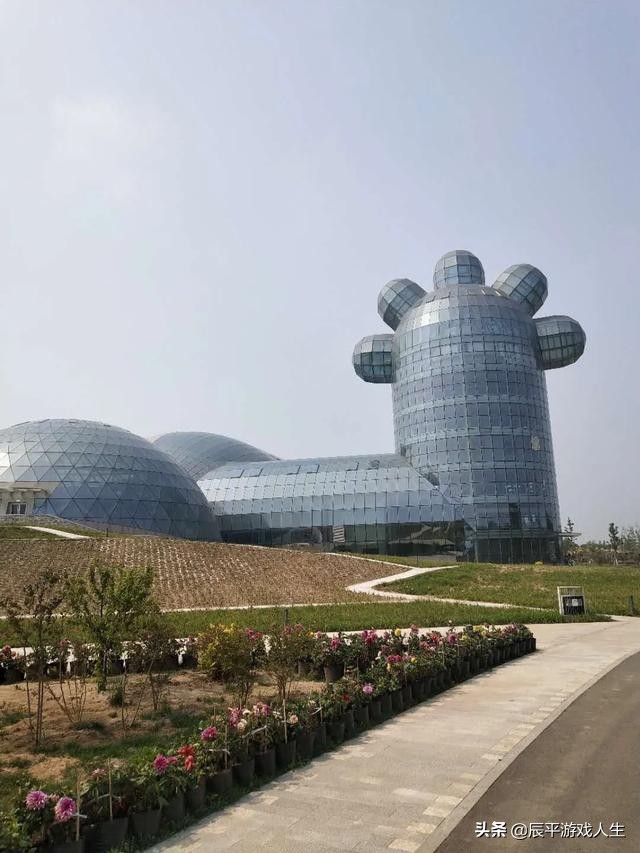 疫情下旅游人的悲哀,旅游者自述疫情