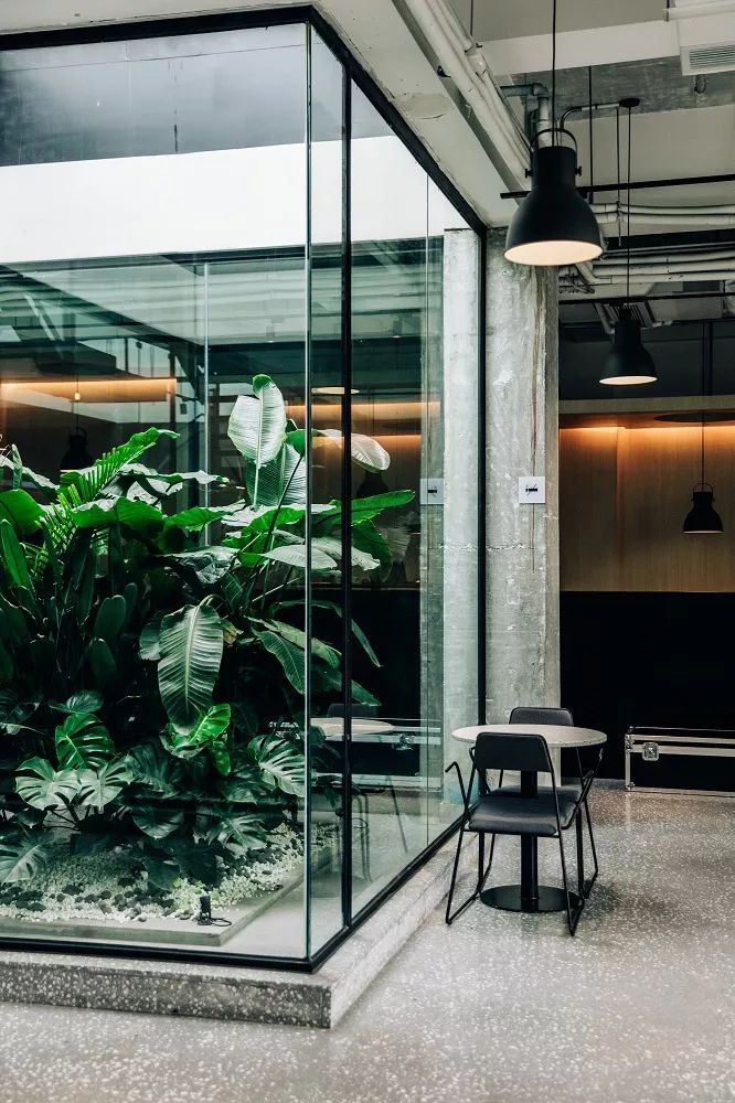 成都咖啡排行榜前十名,咖啡图鉴大全电子书