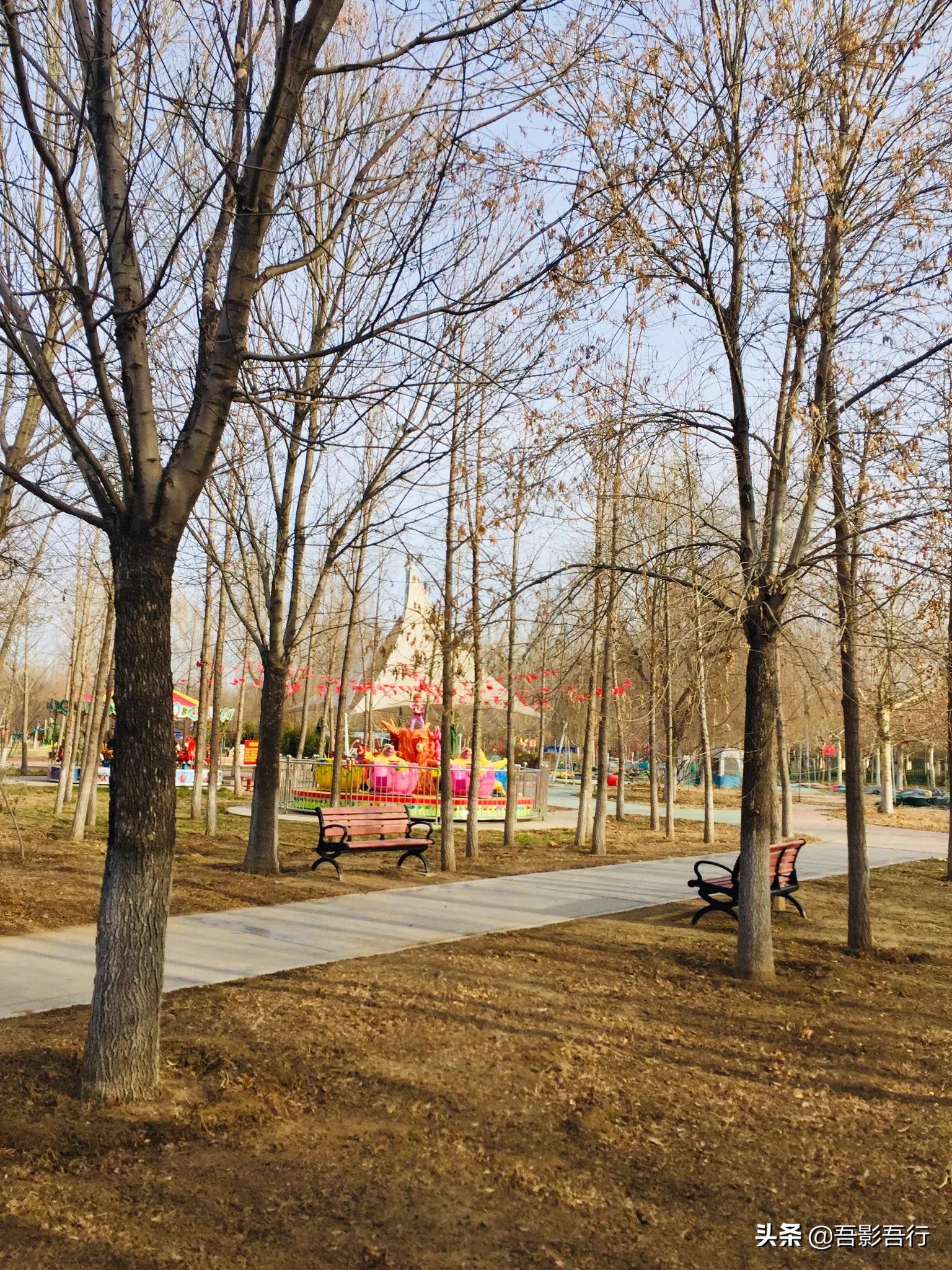 武清津北森林公园有哪些景色,天津武清森林公园开放时间表