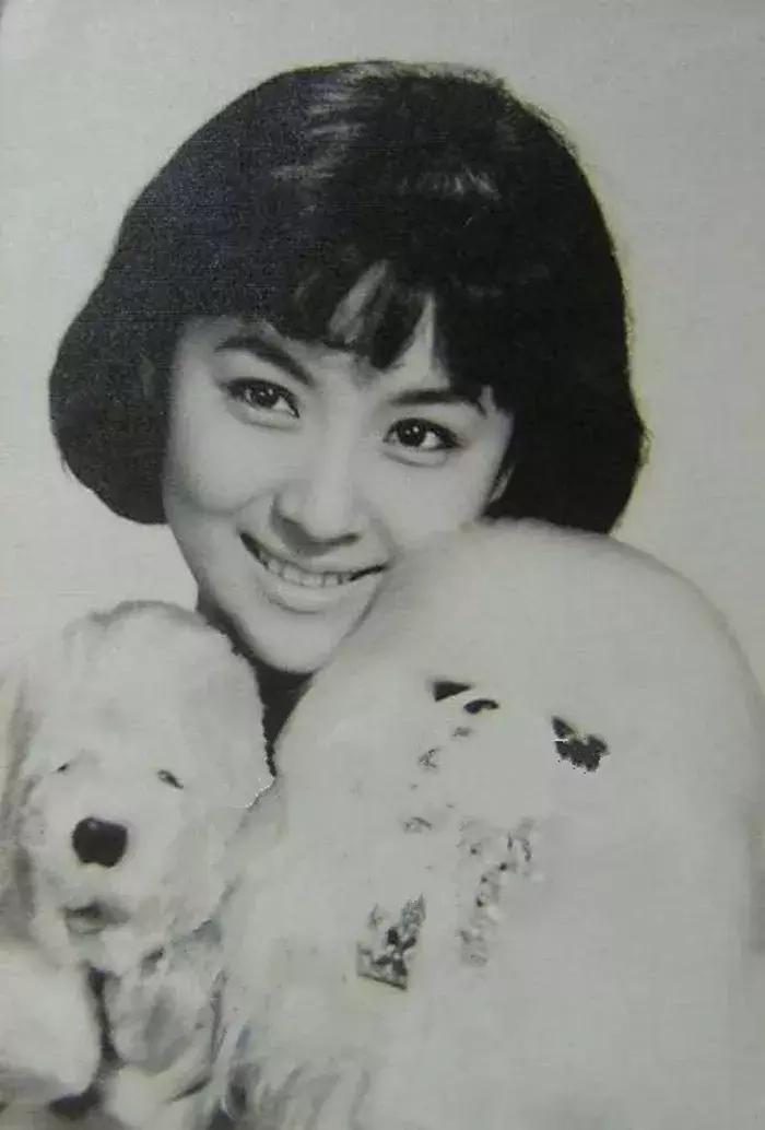 谢贤83岁专辑,谢贤82岁视频