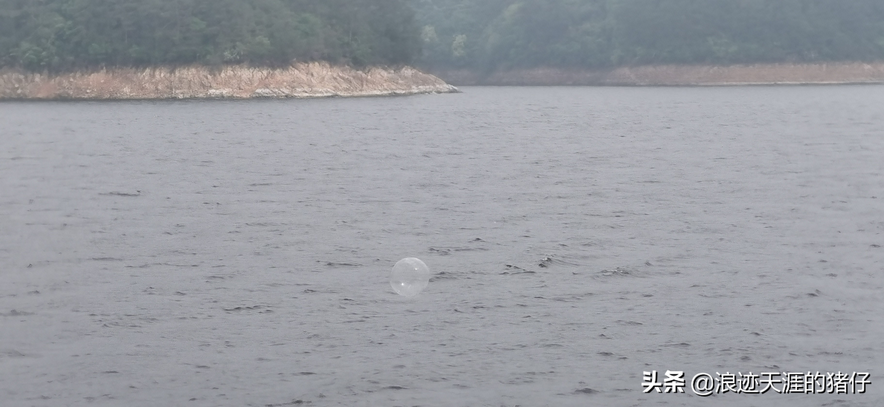 千岛湖疫情政策,千岛湖景区半价优惠