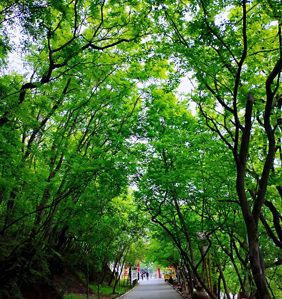 世界旅游日5月19日优惠,冠世榴园免费景点