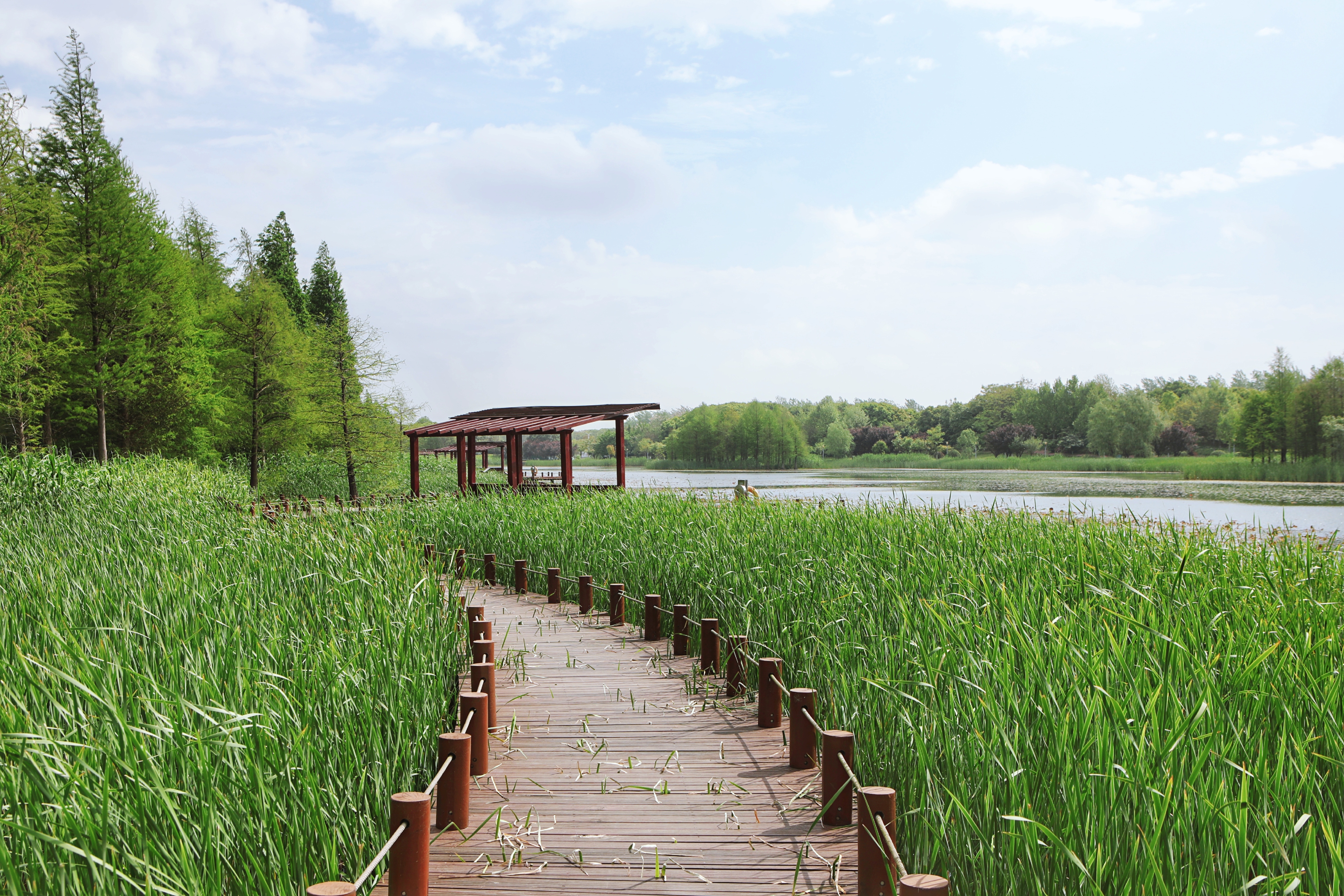 长三角湾区，有个深藏闺中的苏州太湖新城，被看作是未来之城