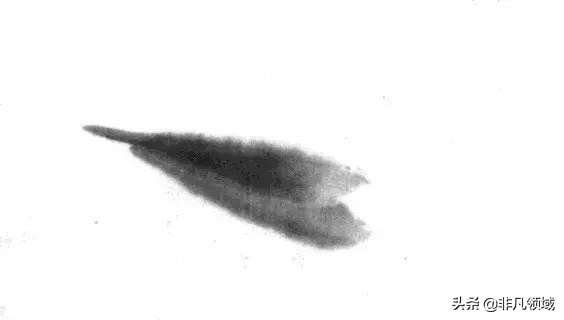 齐白石画虾时的动作语言神态,中国近代四大画家齐白石画虾