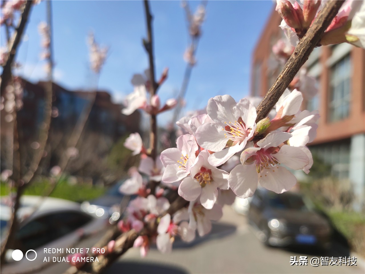 红米note7pro详细参数表,比红米note7pro好的红米手机