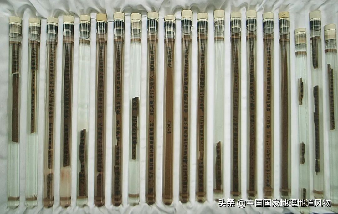 济南青岛临沂,青岛和临沂差距有多大