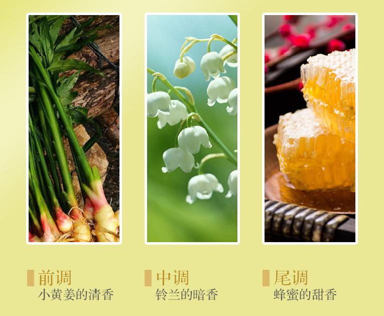 头发太干枯怎么护发,头发掉得很严重怎样护发