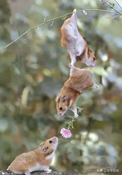 朋友圈最火的6张图片道破人性,朋友圈最火的4张图片道破人性