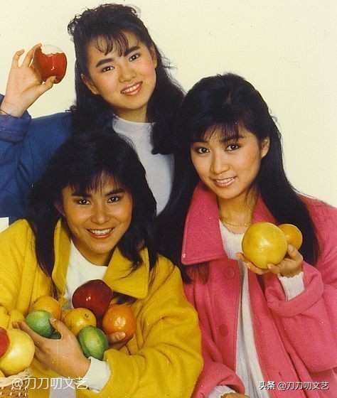 当年红极一时中国组合,红极一时的女子双人组合