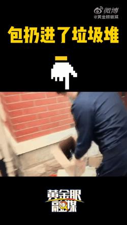 杭州别墅女孩偷走400元,女子别墅翻墙偷走95万现金