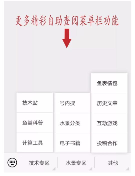 皇冠水草品种大全,亚马逊水草品种