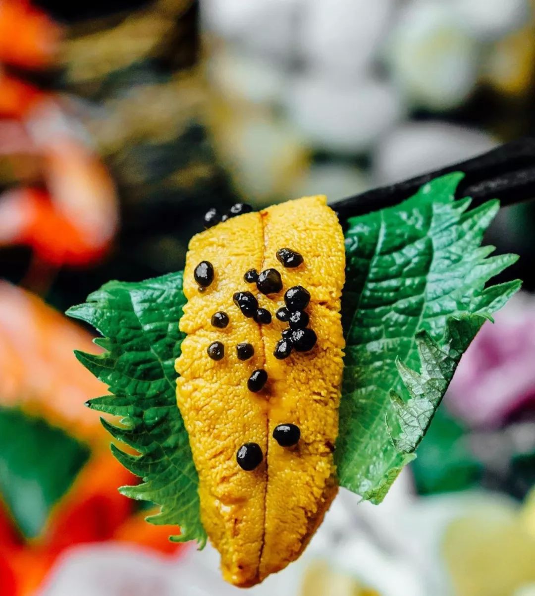 上海端午福利套餐,9.9抵100优惠券日本料理