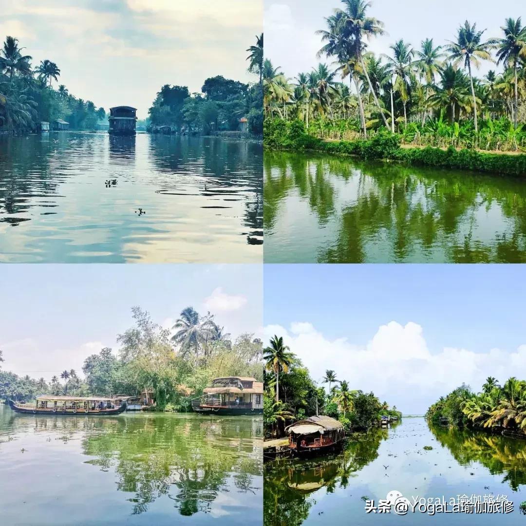 YogaLa2019印度南部阿育啡陀认证课程+排毒解压之旅