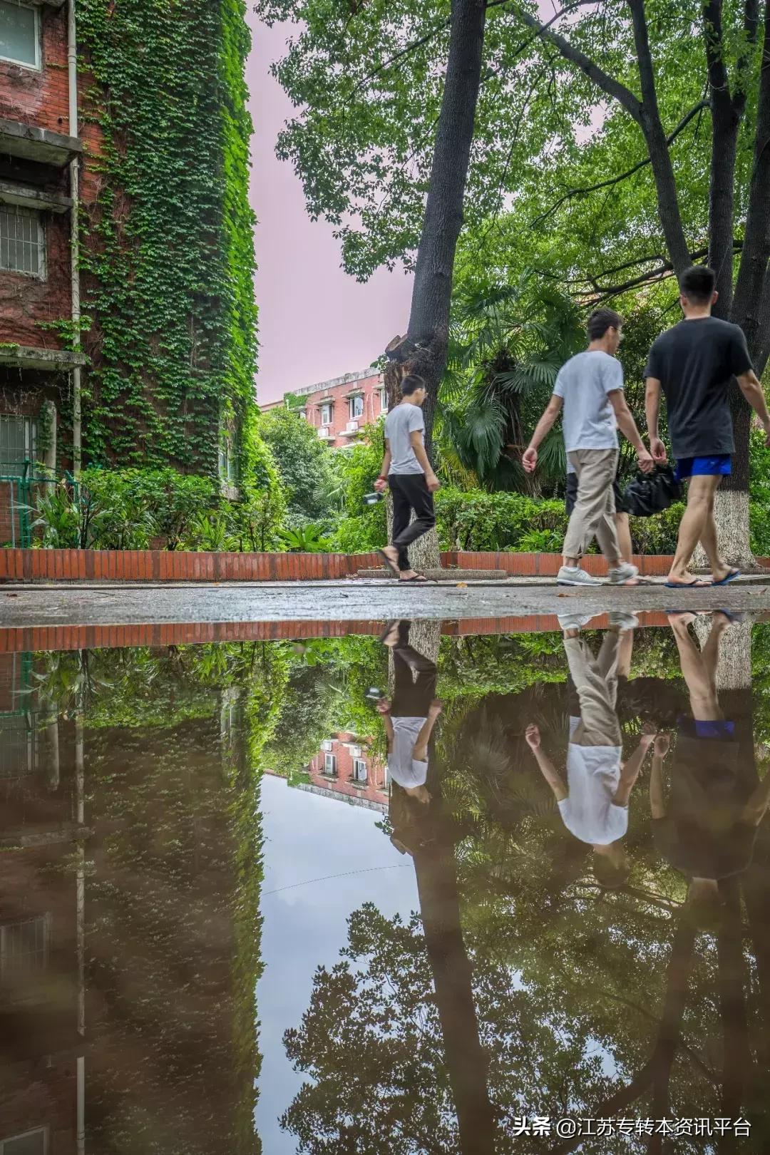 江苏专转本双一流院校,江苏三江学院