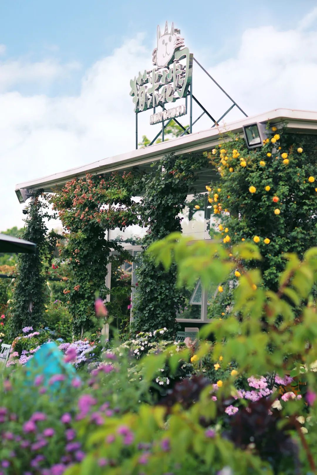 苏州旅行攻略女孩子,苏州旅游女生攻略