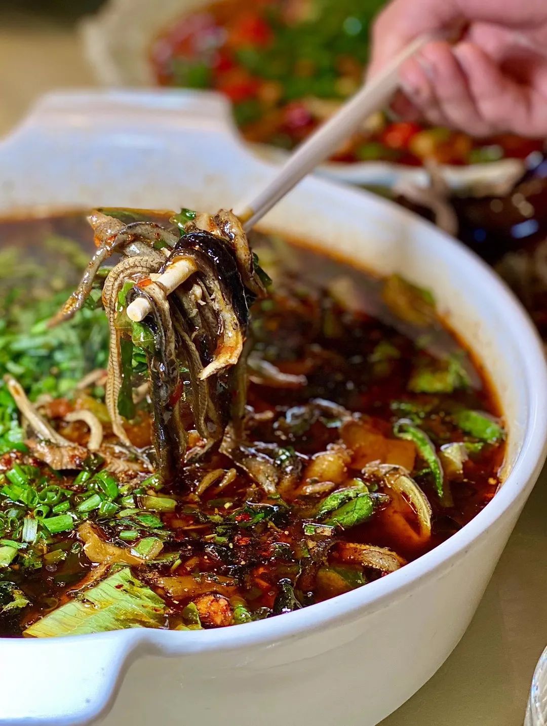 海错图这本书记录的什么,海错图中的海鳝