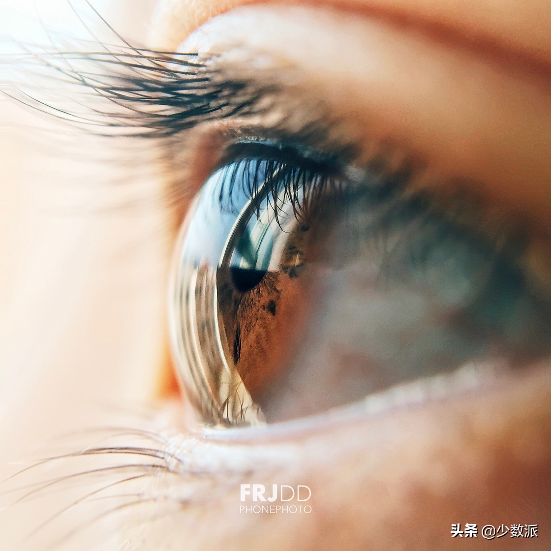 iPad是「无用的玩具」？用了一年，它为我打开了另一个世界