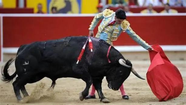 牛年的牛用英语怎么说,牛年的英语怎么说