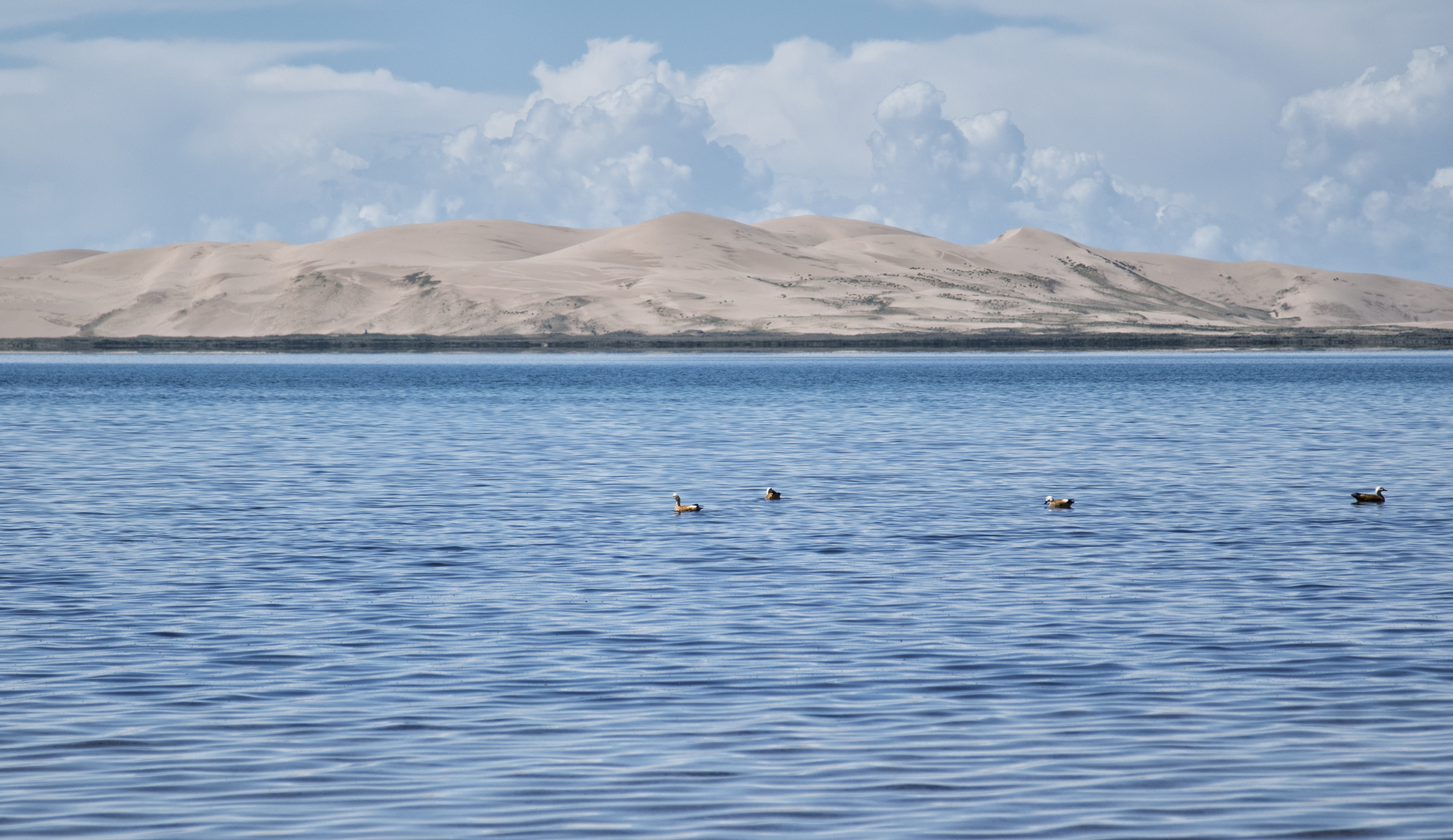债券投资最新骗局案例,债券投资价值陷阱