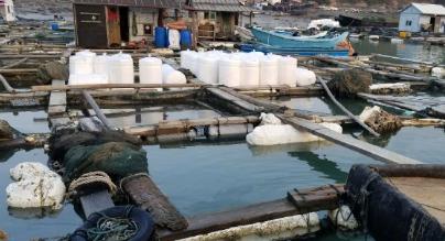 299鍚嶅珜鐤戜汉鎺掗槦鑷鍚庣画,299鍚嶆秹妗堝珜鐤戜汉鎺掗槦鎶曟鑷