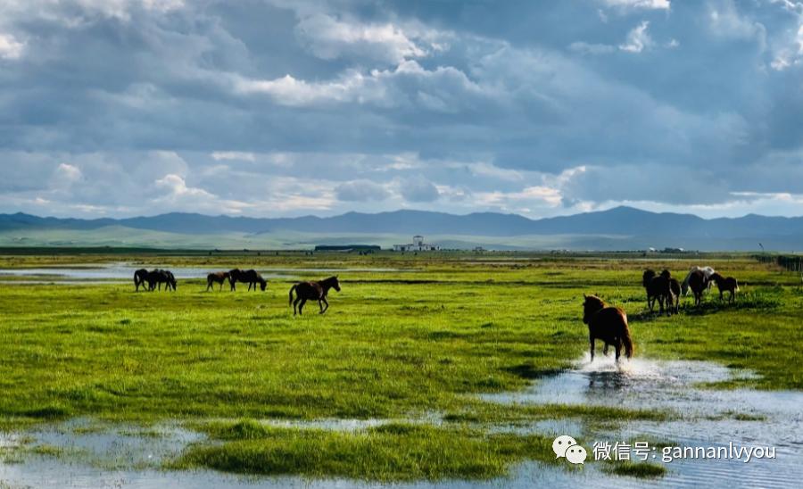 甘南旅游攻略超详细,甘肃甘南不自驾游3天攻略