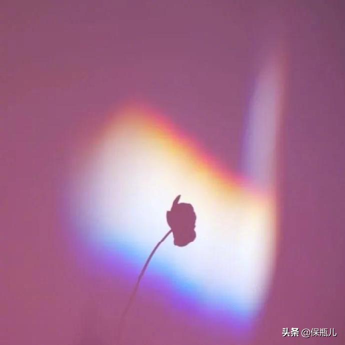 低调赚钱项目,低调存钱罐