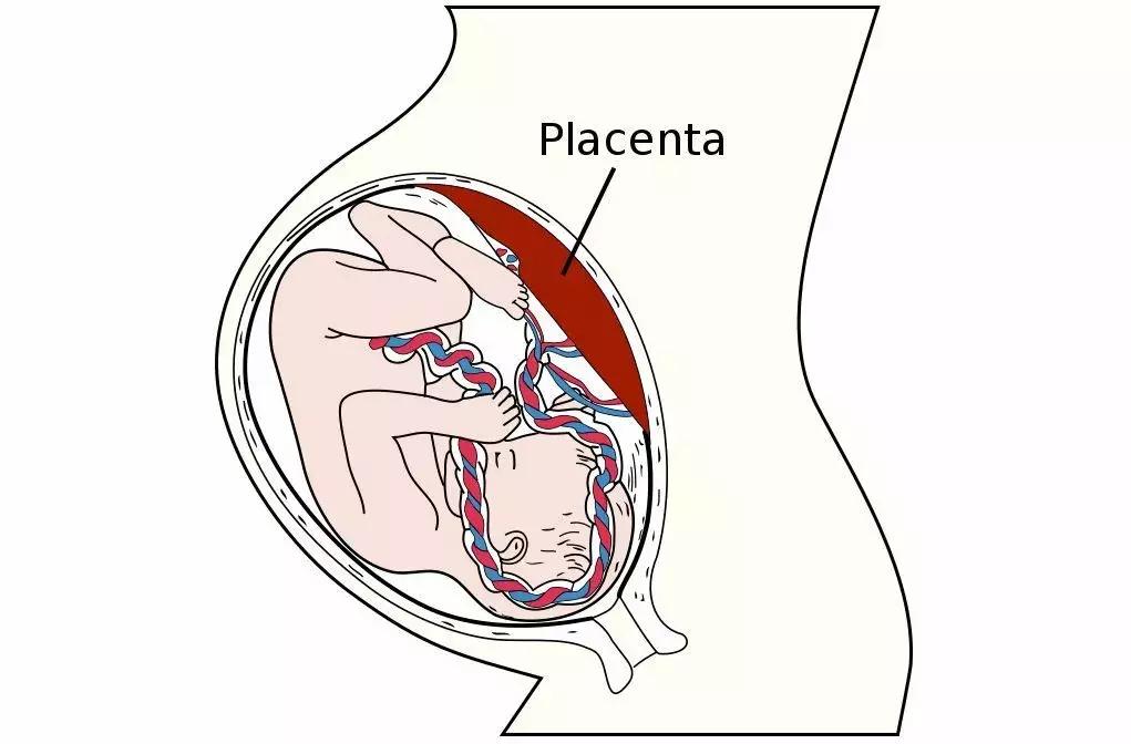 景甜倪妮同台2019年,景甜倪妮同台2019