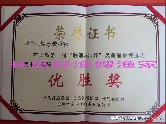 长岛值得去的渔家乐,长岛美丽的海岛