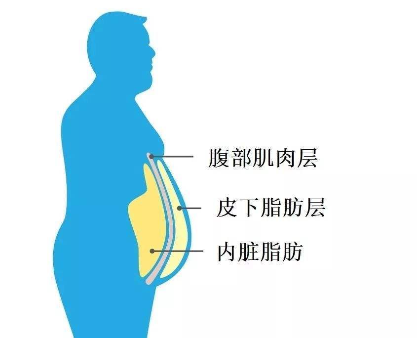 怎样才能减少肚子的脂肪,肚子越来越大小肚子脂肪多怎么办