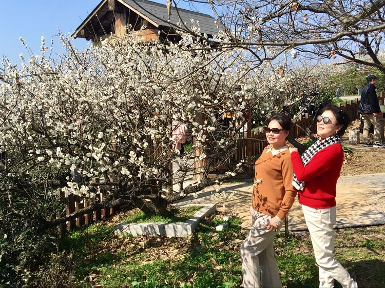 傅家边野营,走进金溪傅家村