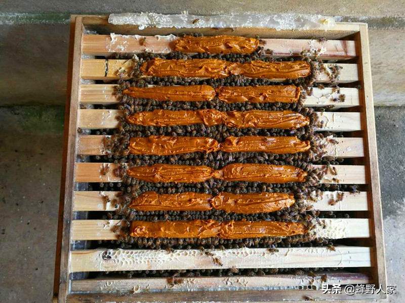 真正的蜂蜜是什么蜜,什么样的蜂蜜是天然蜜