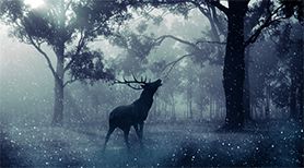 纪念日送礼物有意义,纪念日送礼物有什么意义么