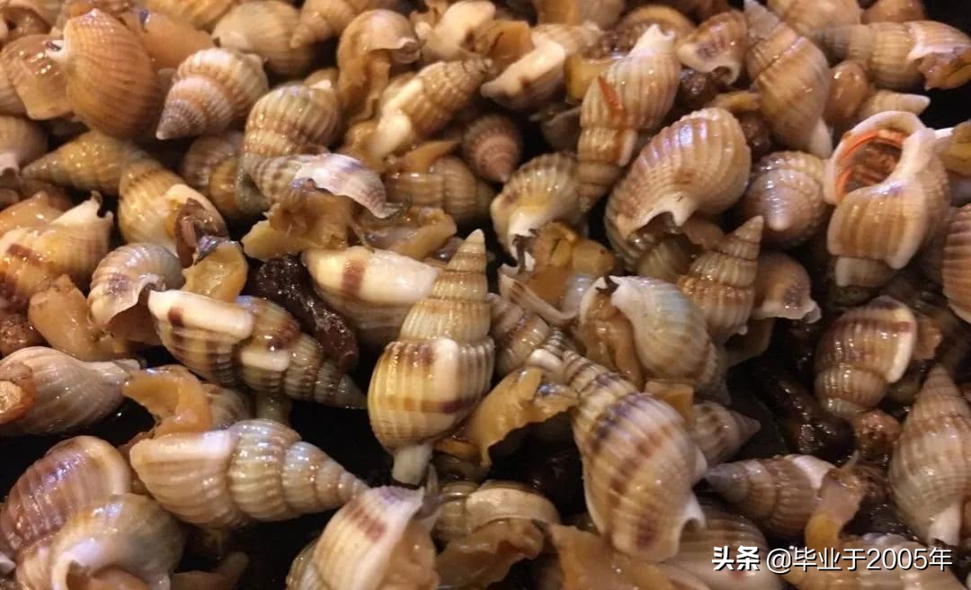 大连常见的海鲜美食都有哪些,大连海鲜吃货大全