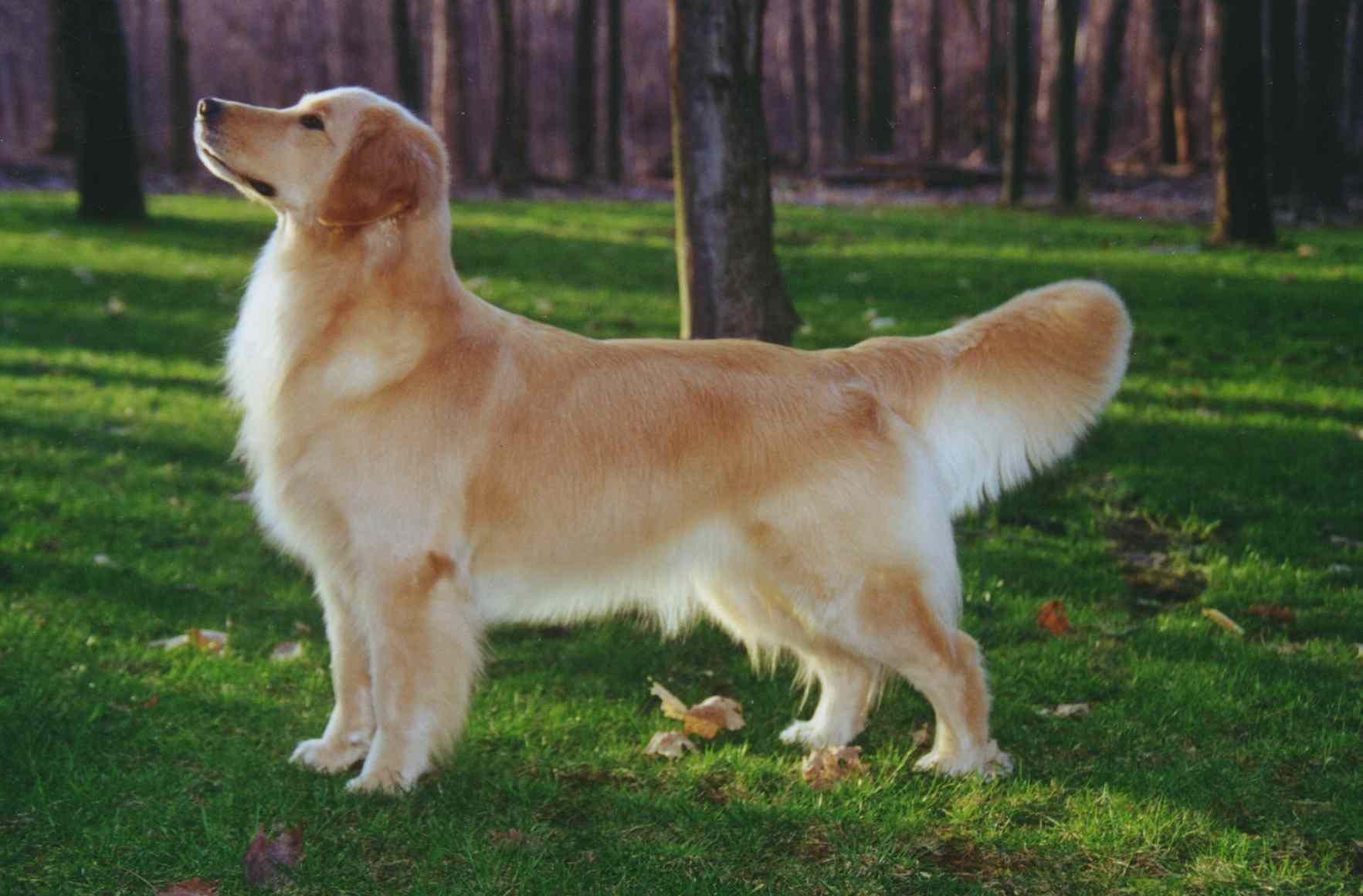 我太孤独了，能跟你们待会儿吗？